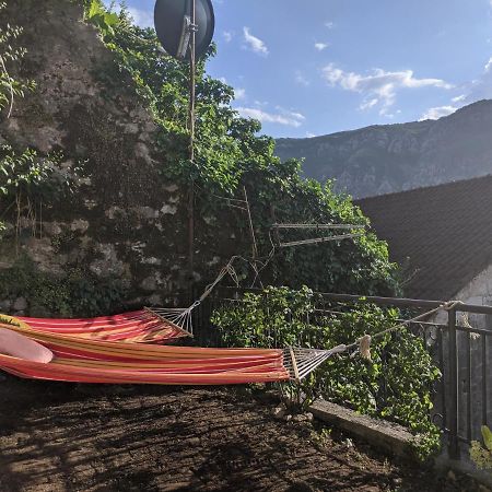 Best View! Rooftop With Garden - Old Town Nr404 Kotor Eksteriør billede