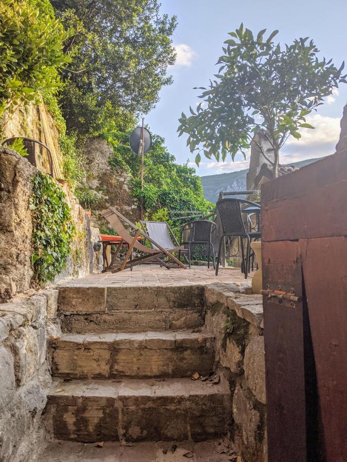 Best View! Rooftop With Garden - Old Town Nr404 Kotor Eksteriør billede