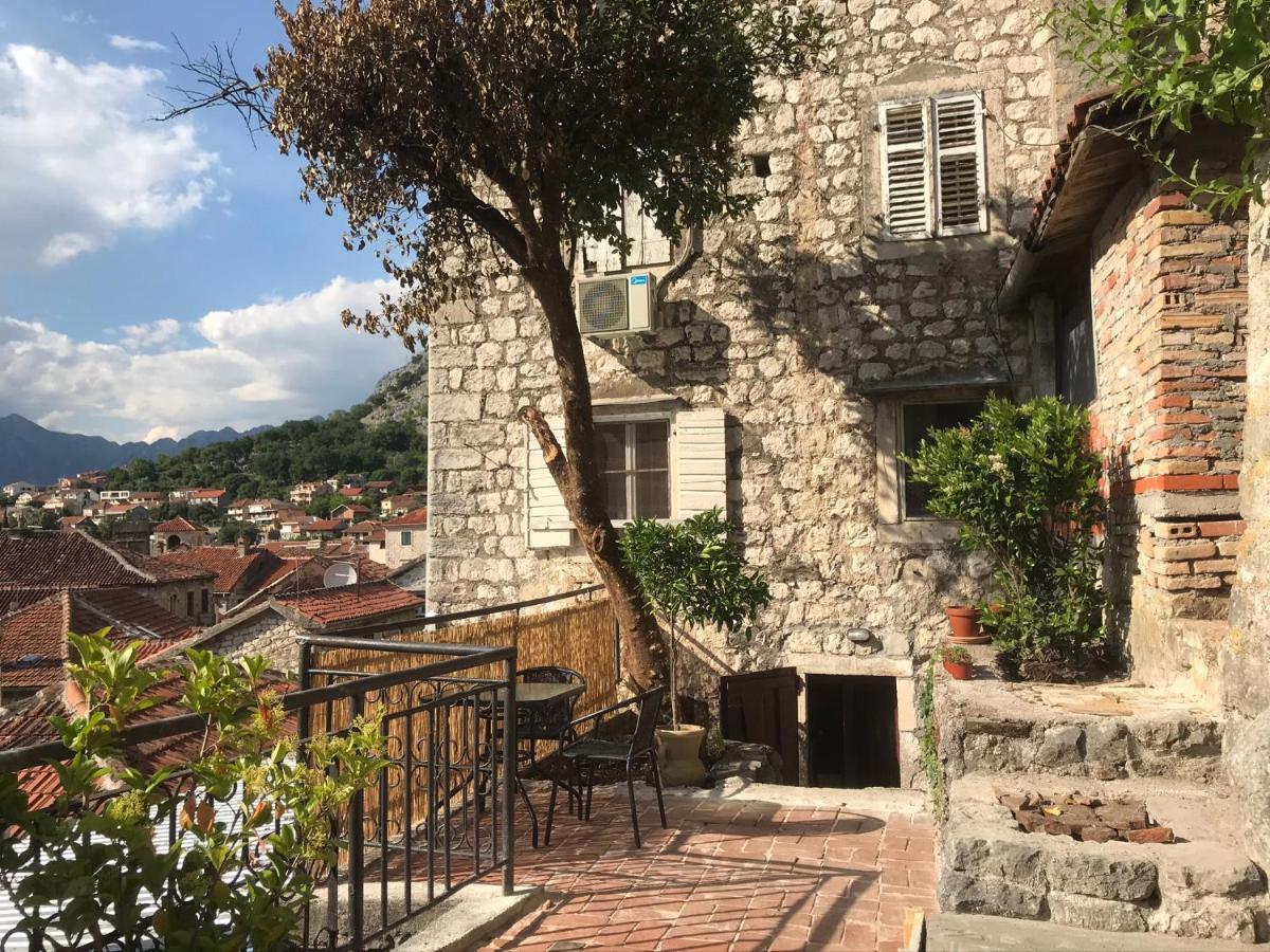Best View! Rooftop With Garden - Old Town Nr404 Kotor Eksteriør billede