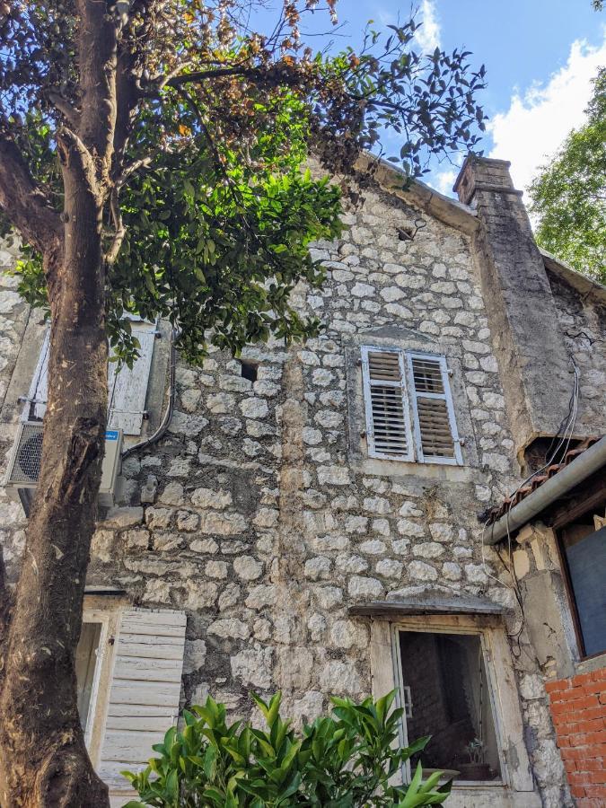 Best View! Rooftop With Garden - Old Town Nr404 Kotor Eksteriør billede