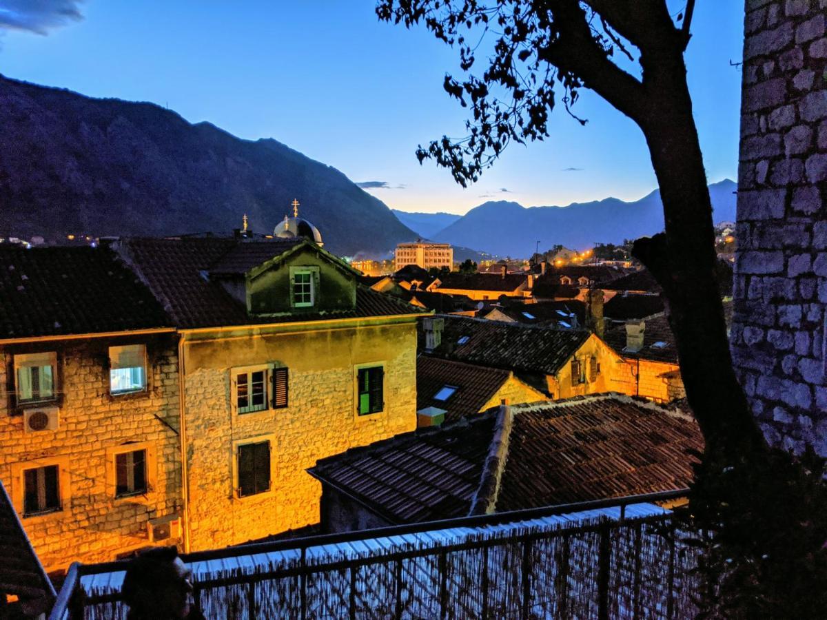 Best View! Rooftop With Garden - Old Town Nr404 Kotor Eksteriør billede